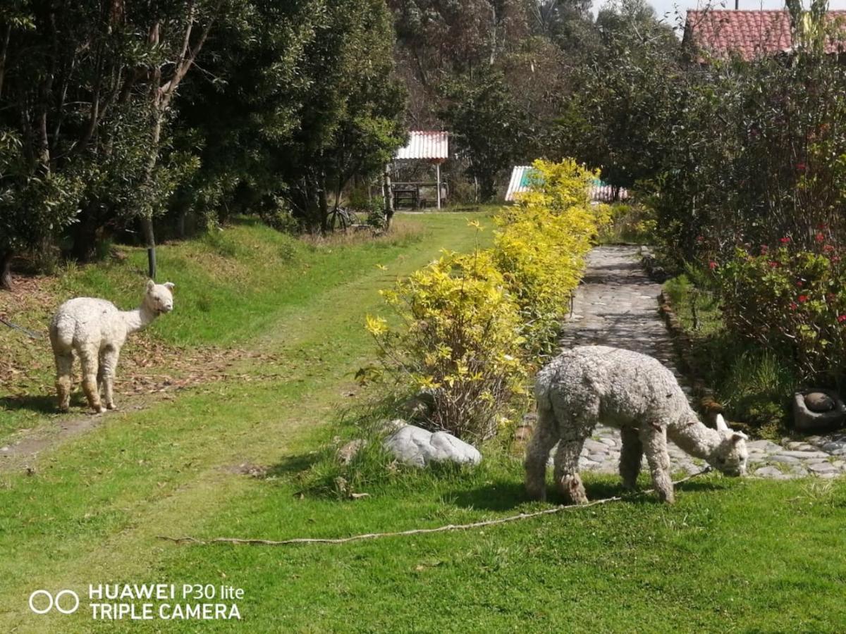 Hostal El Vaquero Chugchilán Zewnętrze zdjęcie